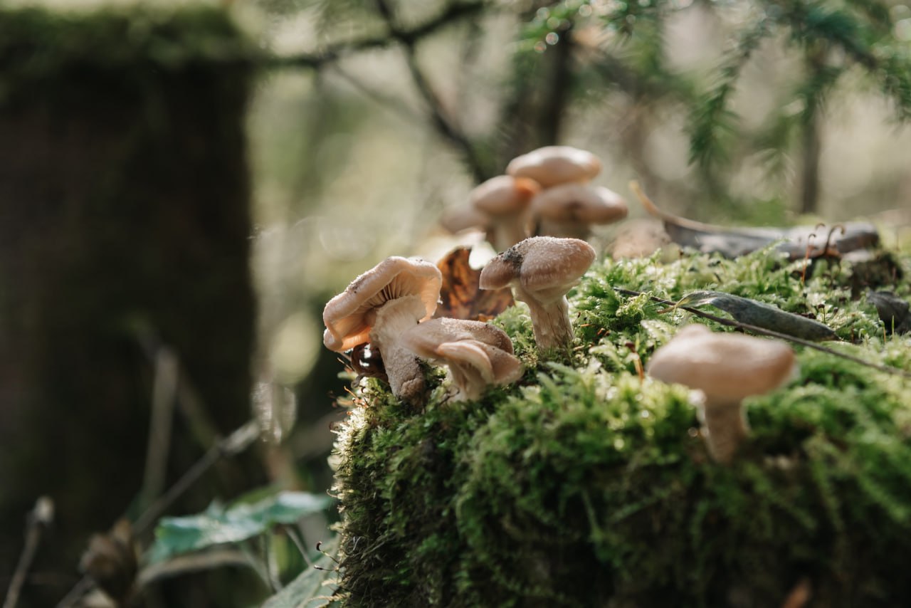 photo_5328221331340256475_y