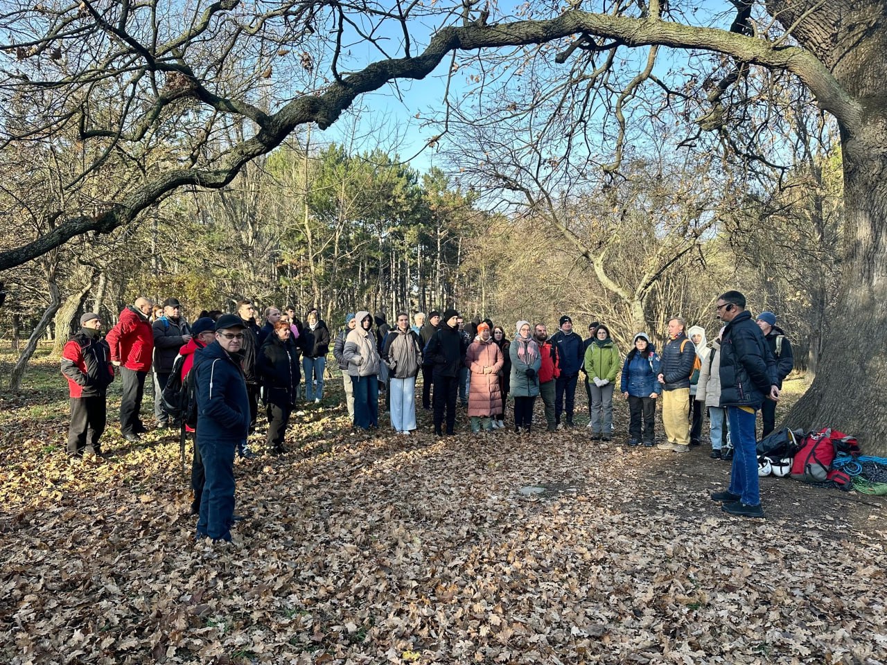 photo_5386466920439602693_y