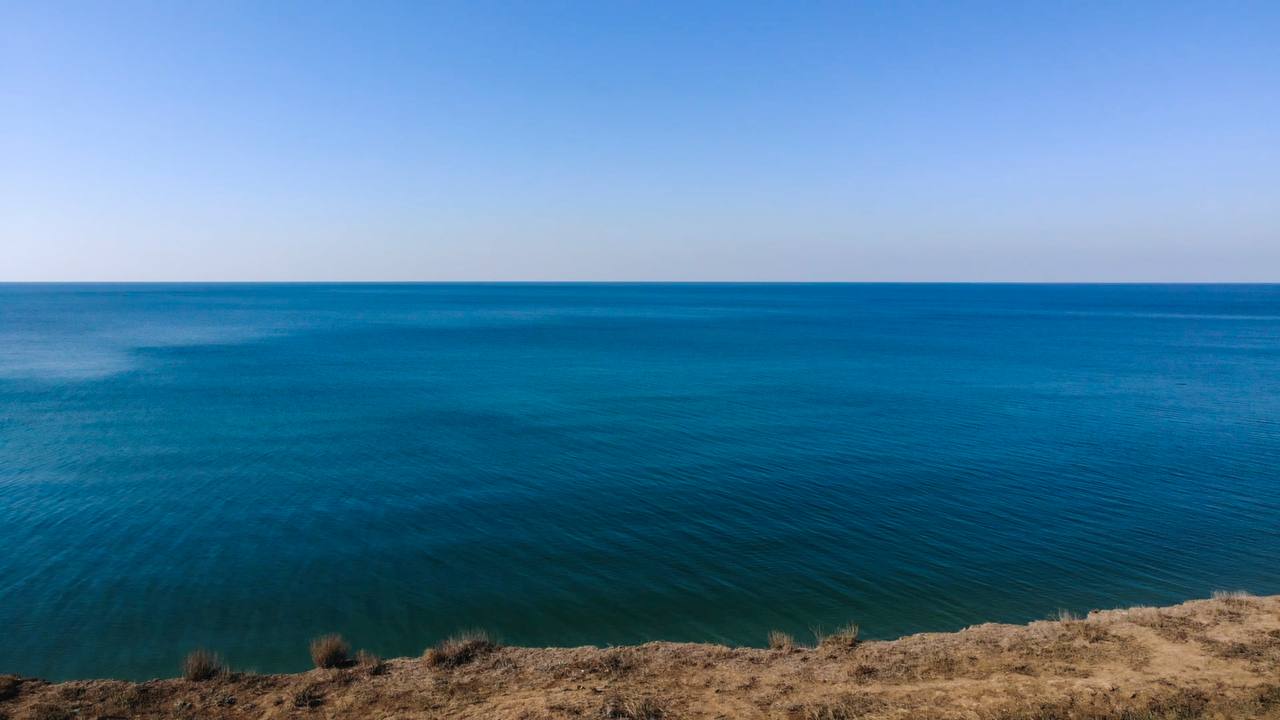 photo_5206338624860317311_y