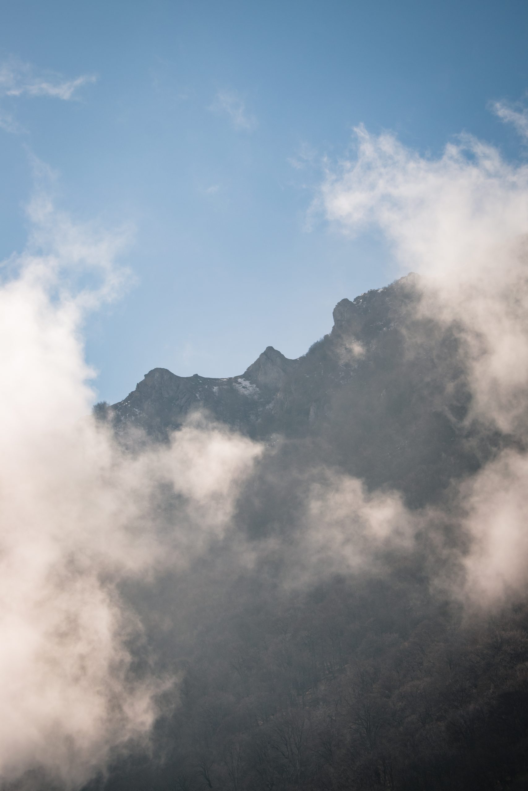 Наталья Файчук (36)