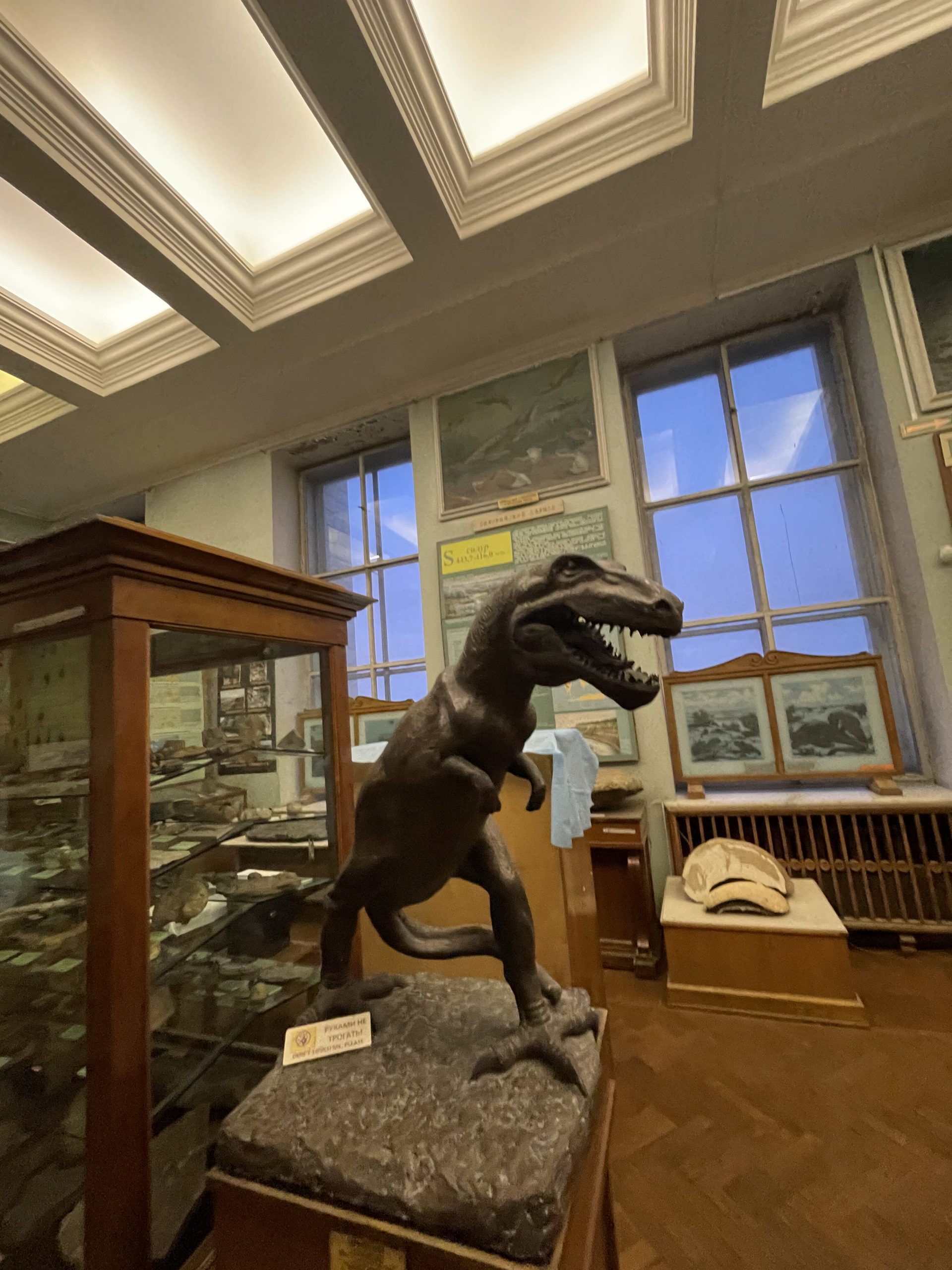 PHOTO-2025-02-06-22-46-09