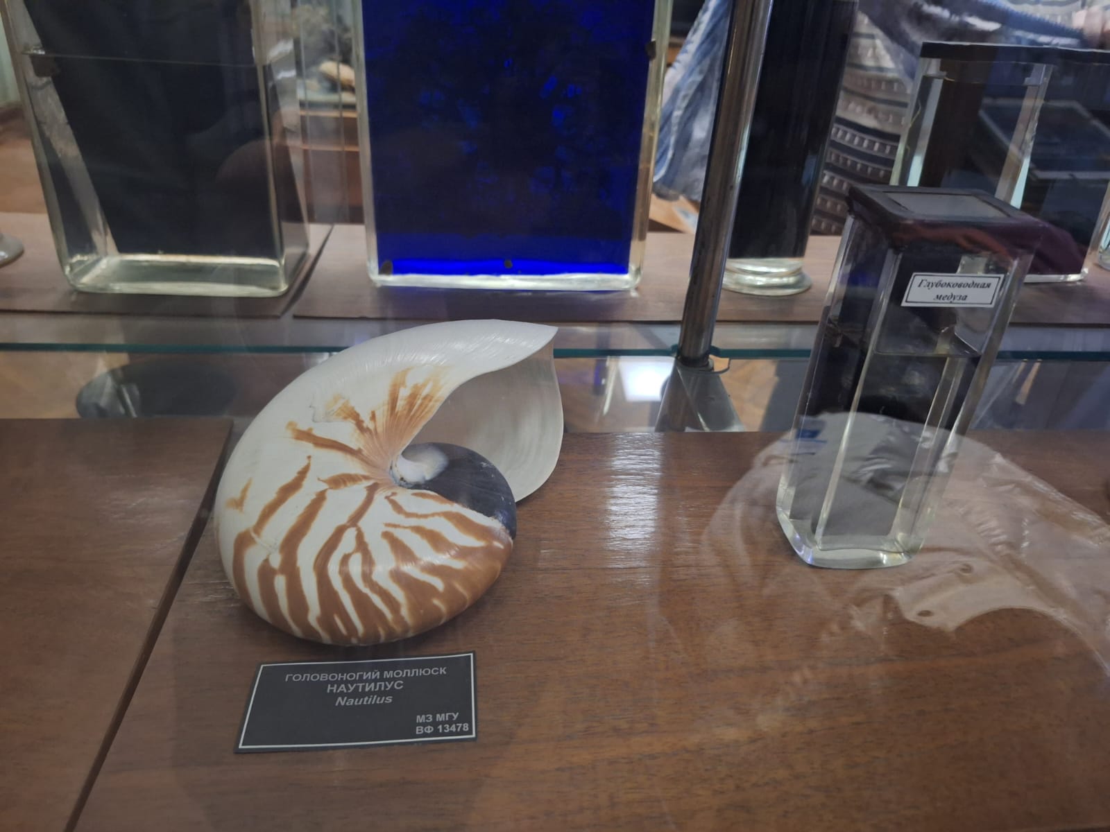 PHOTO-2025-02-06-22-46-09