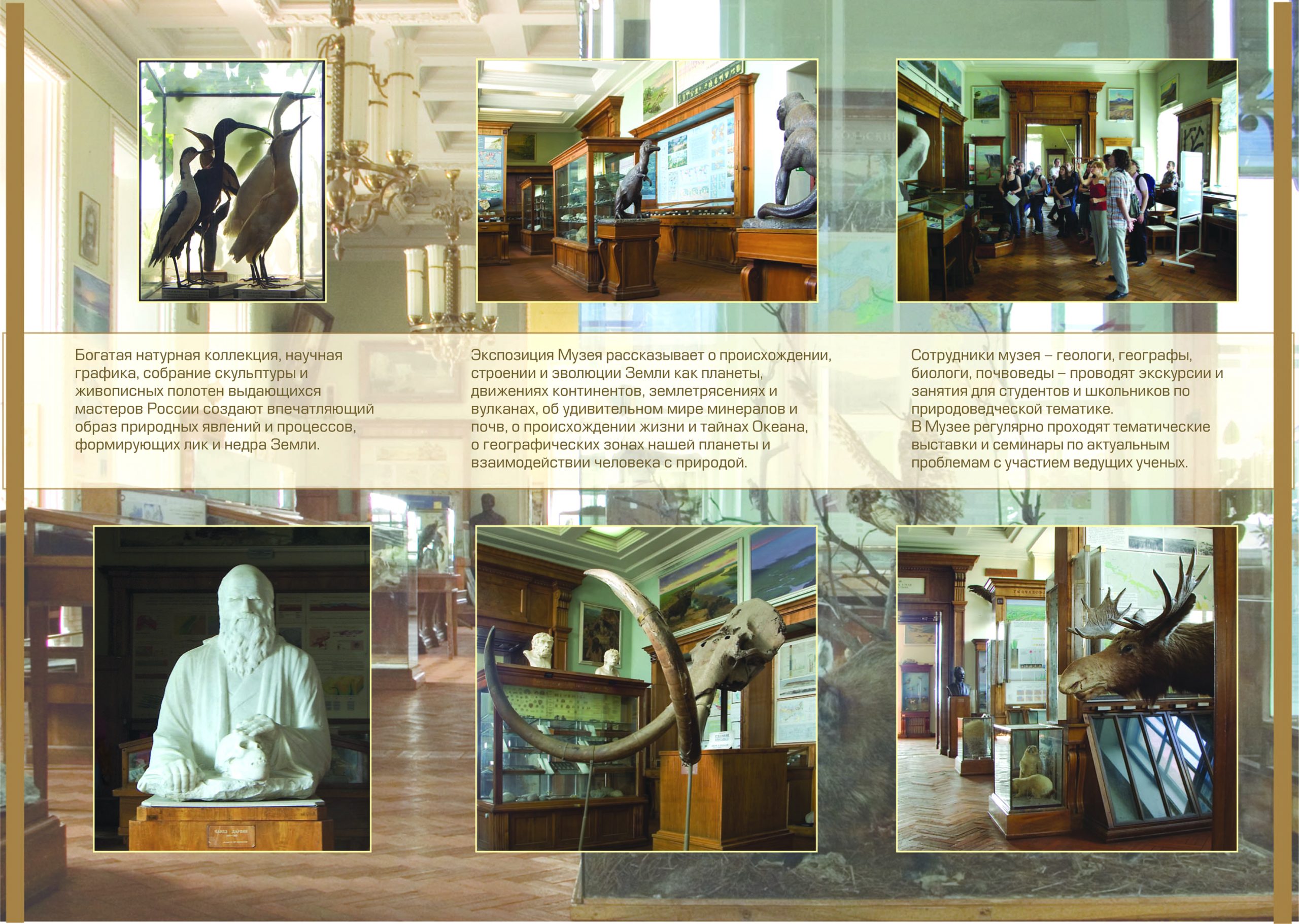 PHOTO-2025-02-06-22-46-09