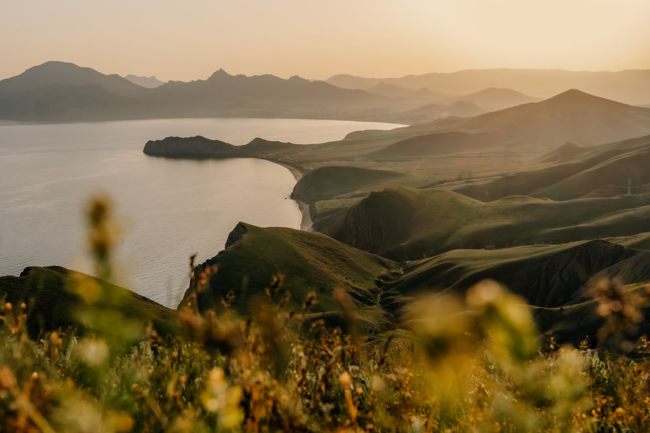 4CA90274-1230-4C72-B3D5-4773AE23E336