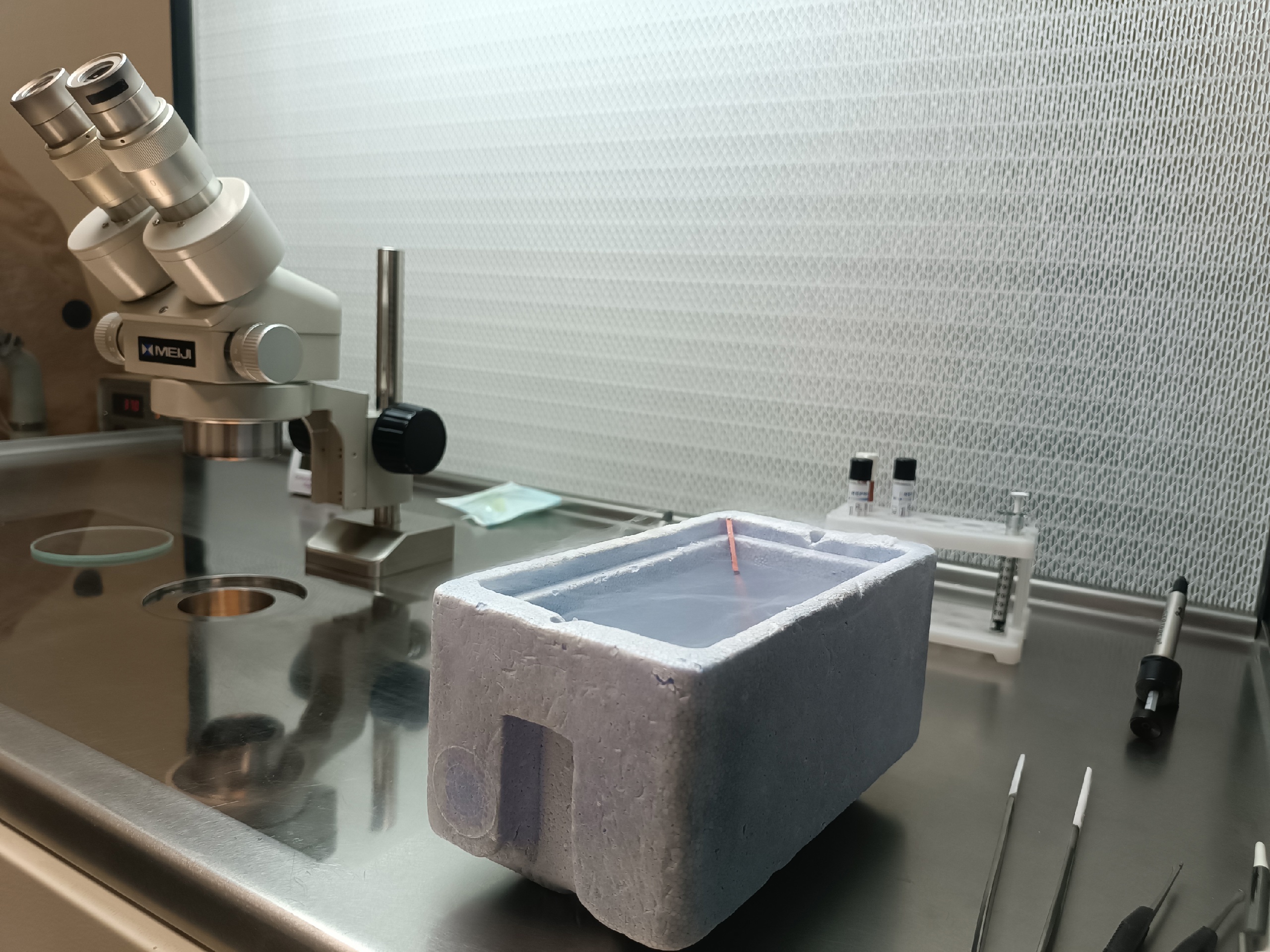 image-15-04-25-11-33