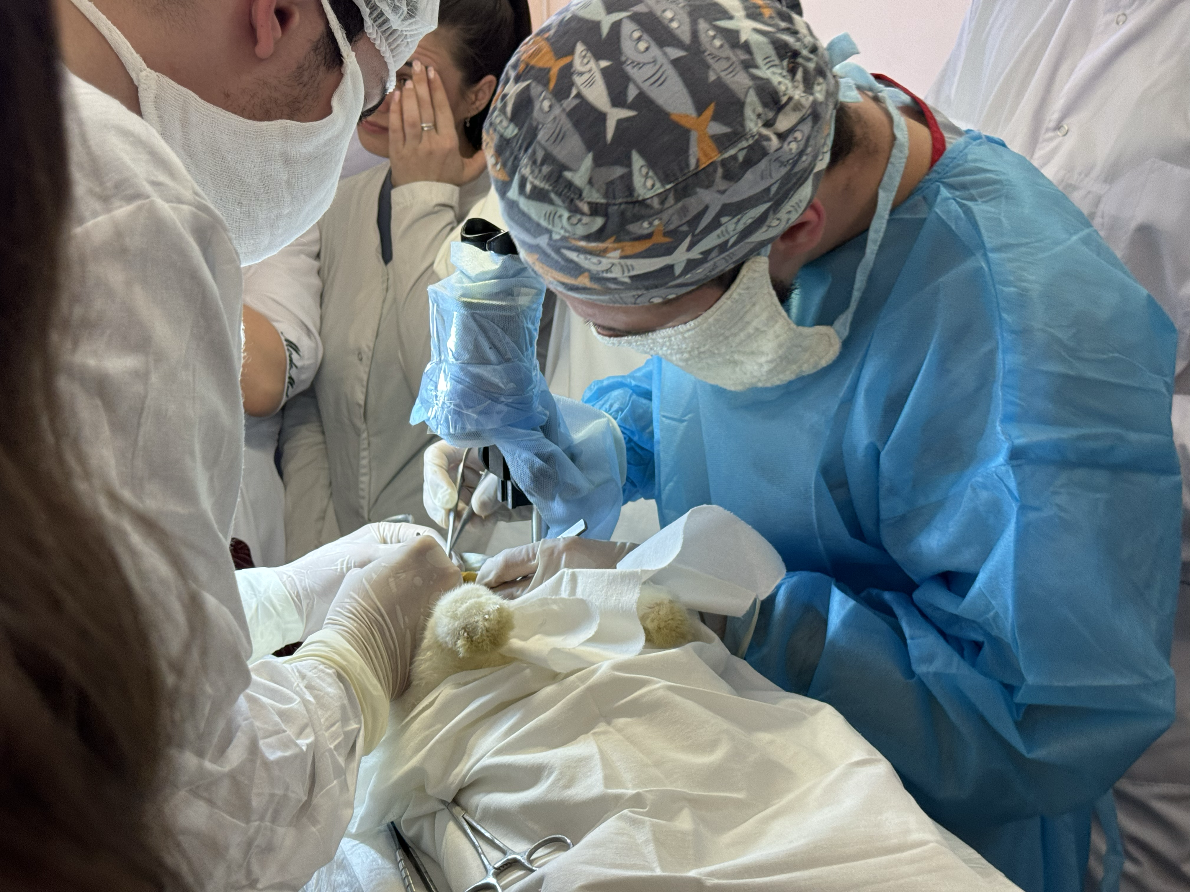 image-24-04-25-03-12-6