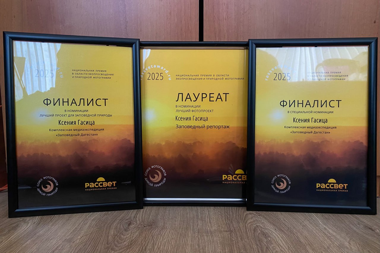 photo_5190887540142501933_y