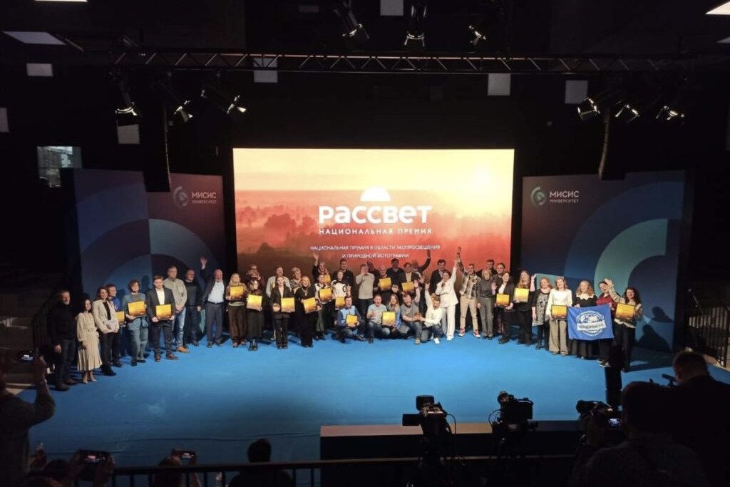 photo_5190887540142501934_y