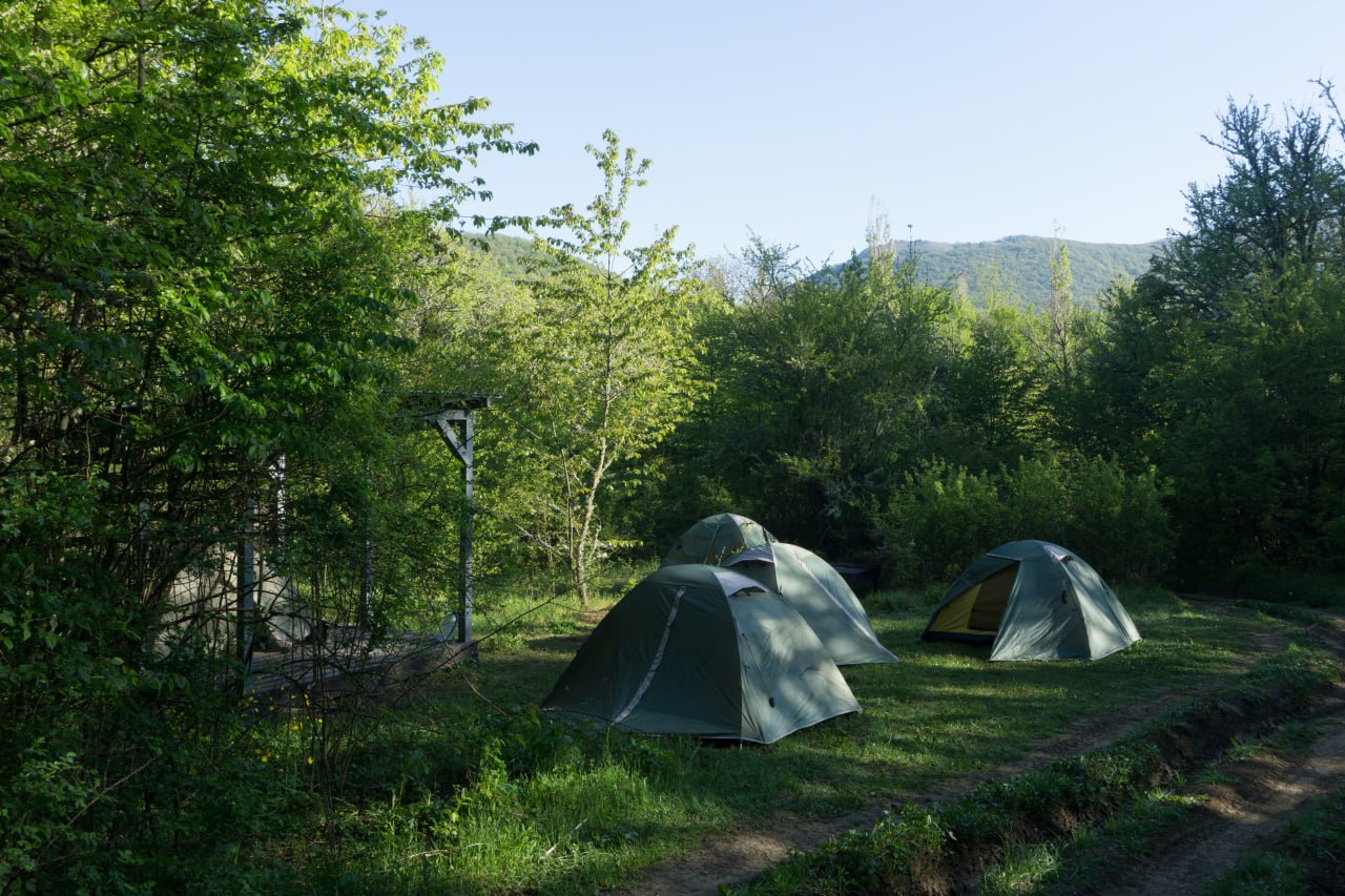 photo_5264736629464102706_y