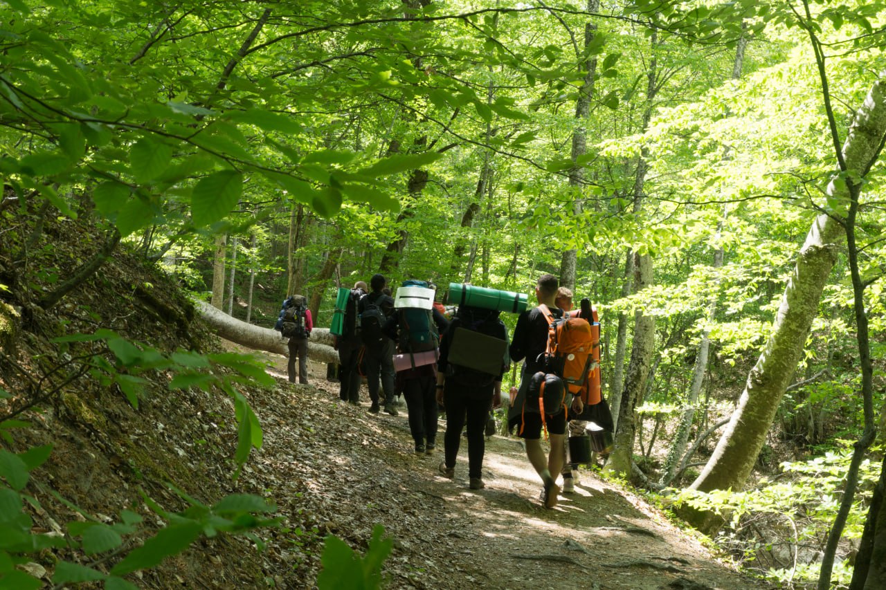 photo_5266962032408786201_y