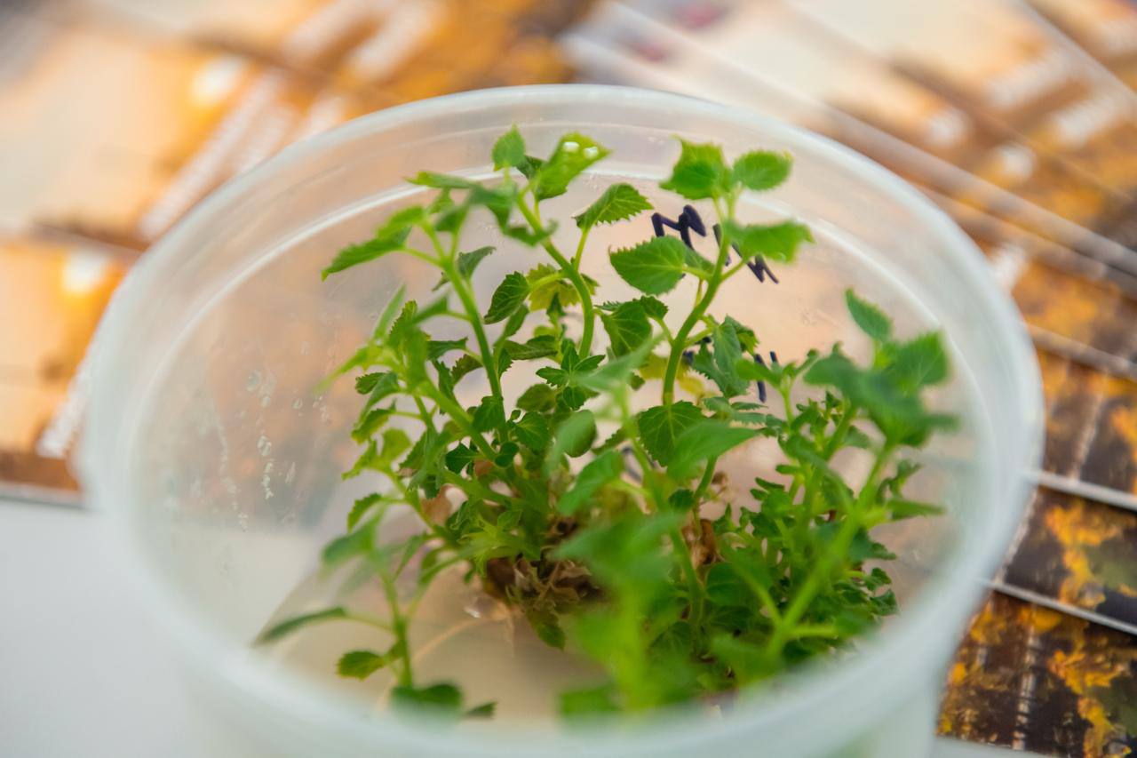 photo_2025-07-08_20-34-47 (2)