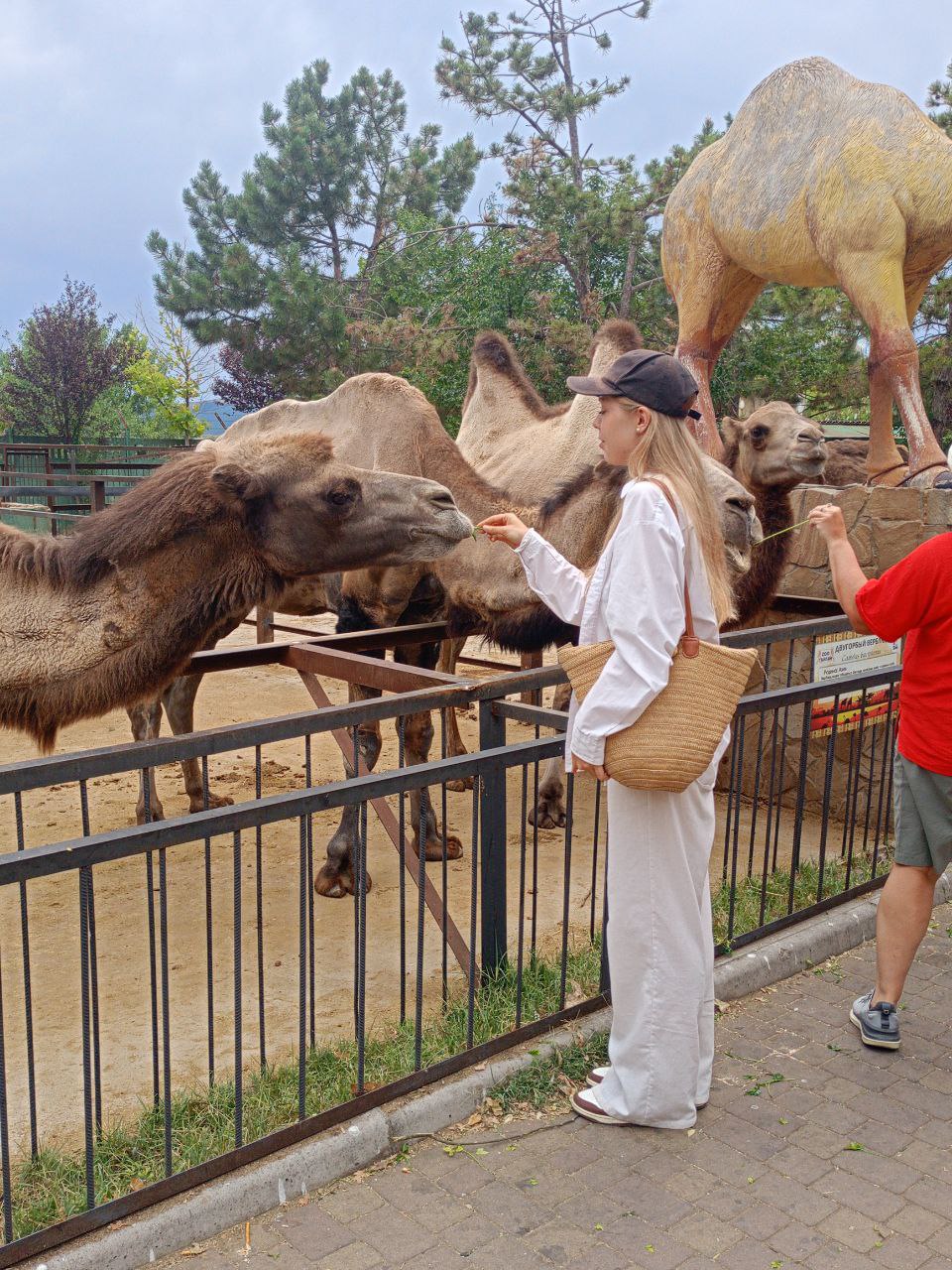 photo_5228958216153593351_y