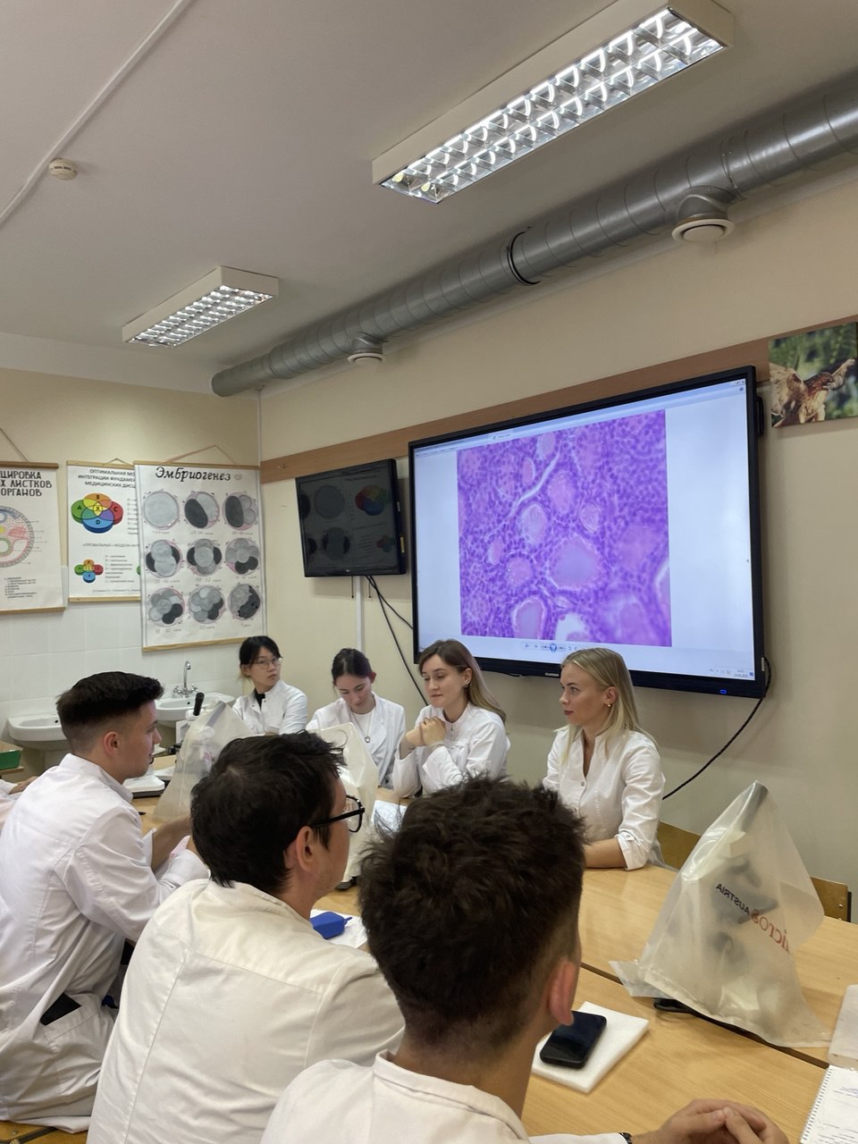 6DF961E1-6B4A-44C7-8BCA-B8D2BD775BA5