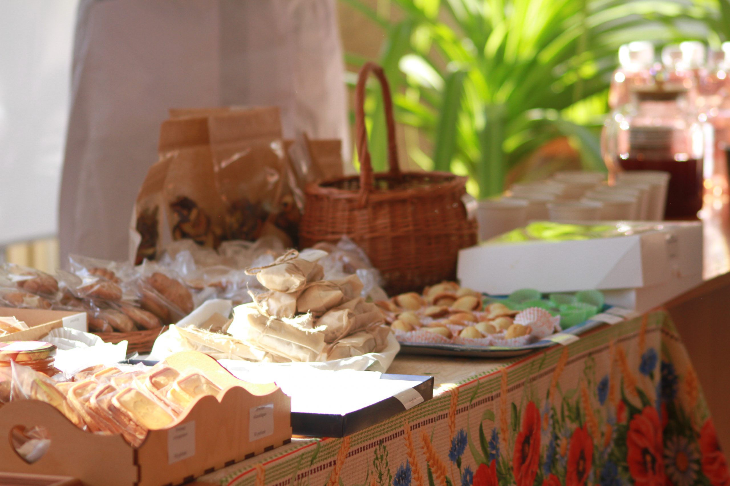 photo_5192788024516278595_y