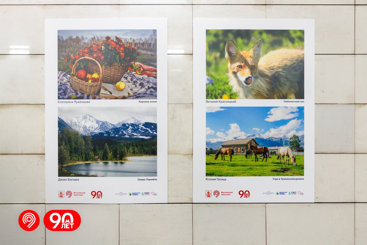 image-10-11-25-02-59-1