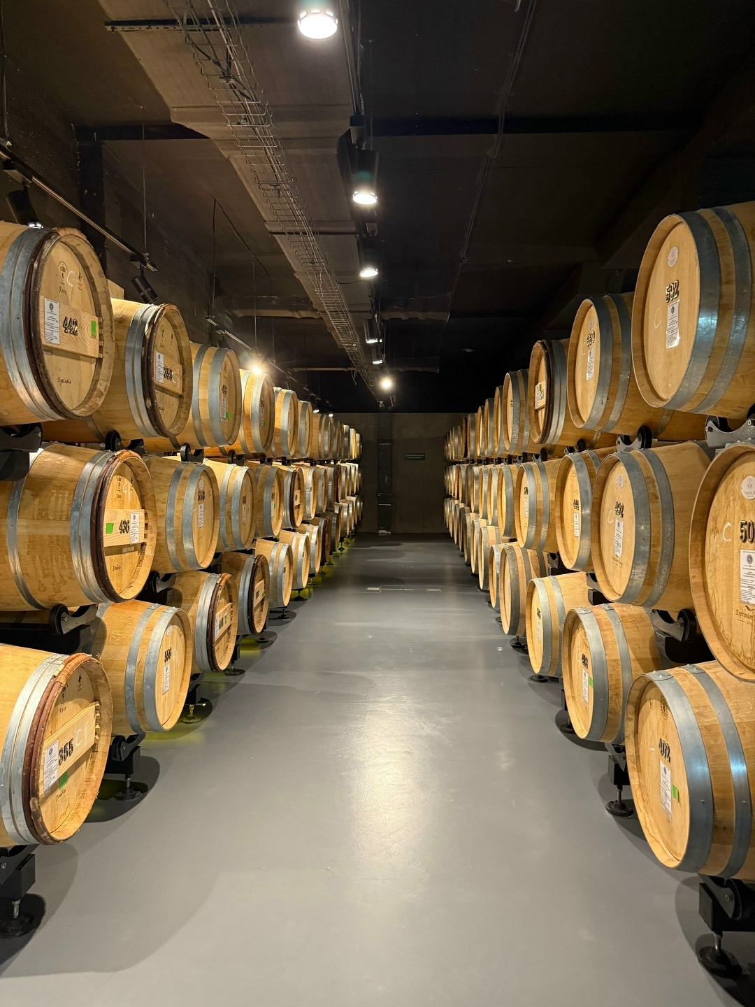 M1A-oTeRvejboK1ayGh9AEa3L1uIjUG1TZS9UHIPXzk1_vz-yJW5PcReF4HYheJvbmx6F6bsIqvZSwm1pW1kK3DM