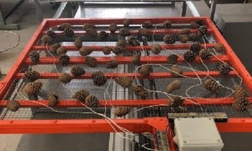Установка для физических методов обработки почвы, шишек хвойных растений и семян