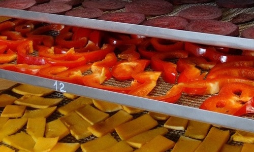 Камера инфракрасной сушки пищевых продуктов